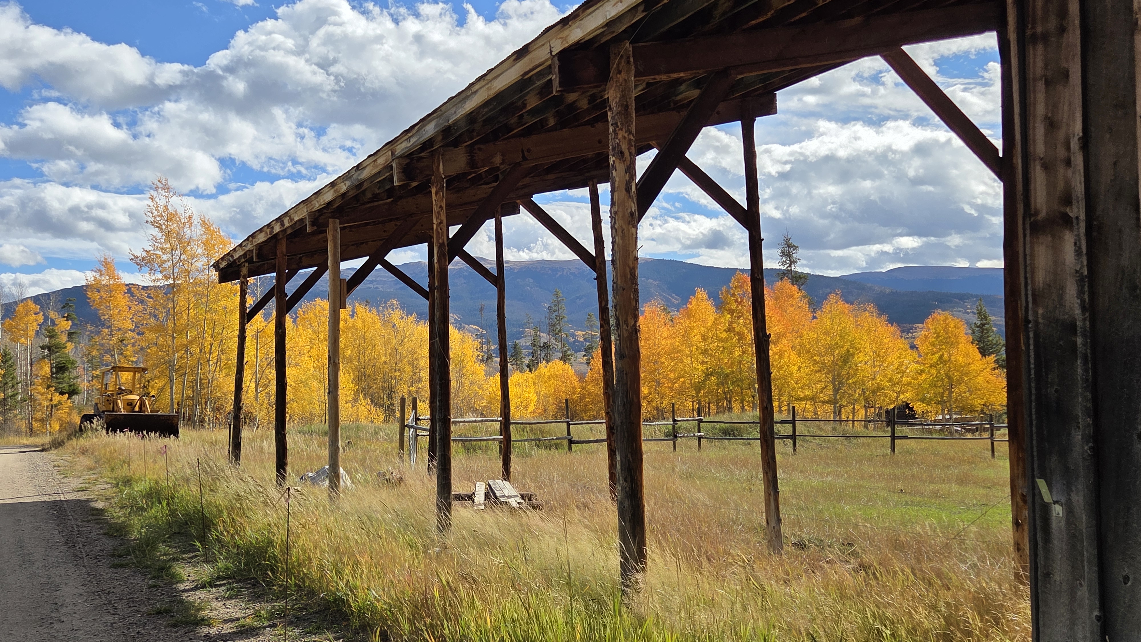 Scenic picture of golden aspen trees in the mountains
