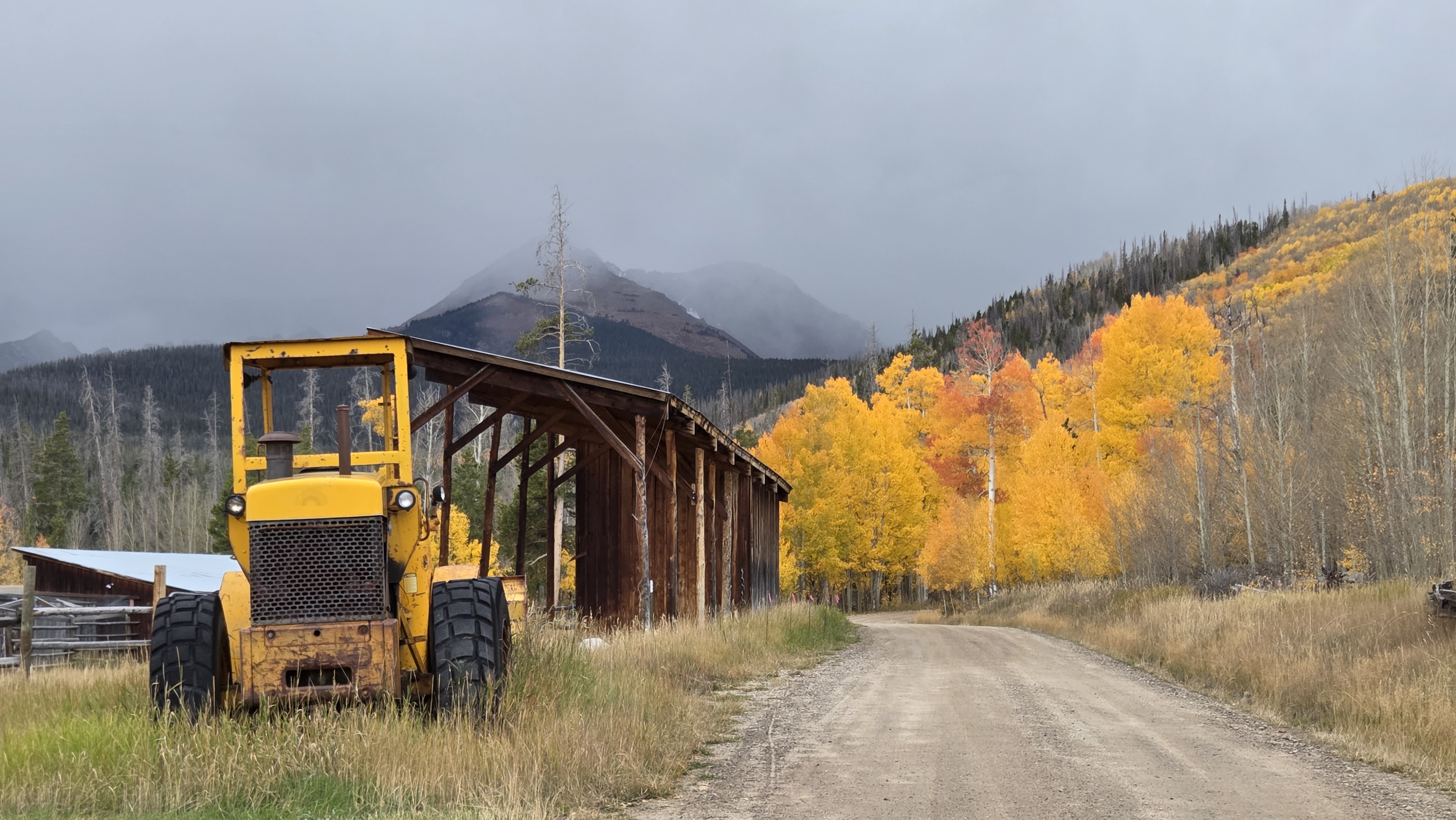 Scenic picture of golden aspen trees in the mountains